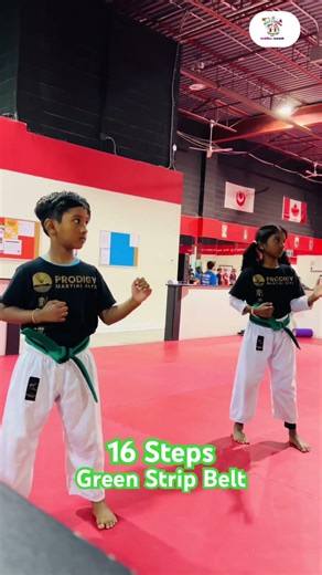 Karate | Green Strip Belt | Technique - 16 Steps