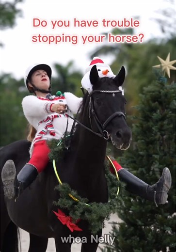 Effective Techniques for Stopping Your Horse Safely