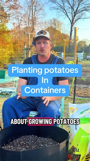 Growing Potatoes in Containers: A Complete Guide