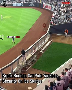 That Cat Wanted That Ball! | Charlie Sheen