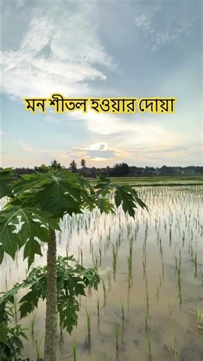 যখন আপনার মন খারাপ হবে তখন এই দোয়া টি পড়বেন মন শীতল হয়ে যাবে.. Islamic short video