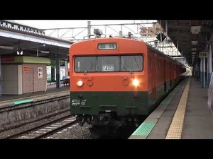 【懐かしの１１５系湘南色】～湘南色が辰野支線に～