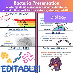 Archaea and Eubacteria Bacteria Presentation for High School Biology - EDITABLE