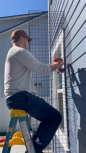 This 3-sided Habitat Haven catio is being assembled in Florida for an orange cat named Cheetoh! | Habitat Haven