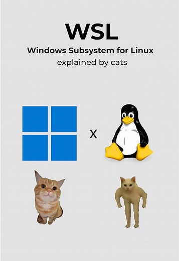 Kitty Learns WSL: The Best of Windows and Linux Together