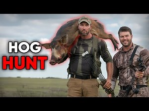The Best Bows for Hunting Feral Hogs – Ranked and Reviewed!