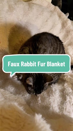 The faux rabbit fur blanket throw is a must have for cat cuddles. #TikTokshopCyberMonday #blanket #fauxrabbitfurblanket