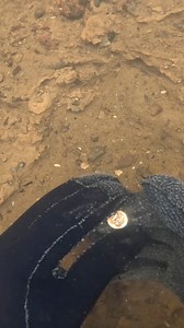 24K views · 257 reactions | A naval button! | Saltwater Sean | Facebook