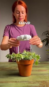 Indoor gardening tips for beginners | 5-Minute Crafts SHORTS