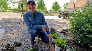 198K views · 6.8K reactions | Planting 3 Full Sun & 3 Shade Containers in My Parent’s Garden! 殺華 | Garden Answer | Facebook