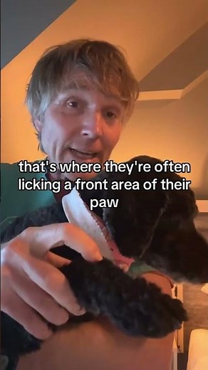 Stop dog licking skin with Natural DMSO