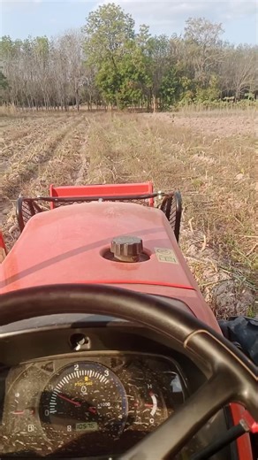 วัยรุ่น 1,000 ไร่ ได้พอ 3 ตันบ่น้อมันข่อย😆😆