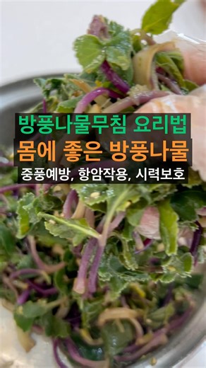 방풍나물무침 요리법 몸에 좋은 방풍나물 중풍예방, 항암작용, 시력보호. #방풍나물