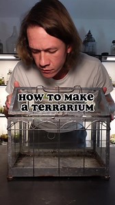 How To Make A Terrarium #worcesterterrariums #He #herefordandWorcester #terrarium | Worcester Terrariums