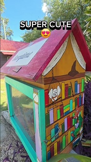 📚 Quirky Street Library Spot in Ipswich