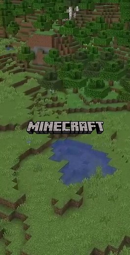 Minecraft but I can't stop levitating #minecraft #fyp #minecraftmemes