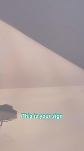 PSA: If you care about your hair, switch to Function of Beauty's personalized shampoo and conditioner made for your hair type. | Function of Beauty