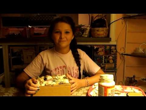 How to make a seashell box