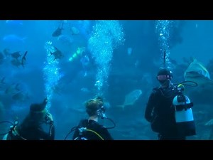 Blue planet aquarium tour 2025