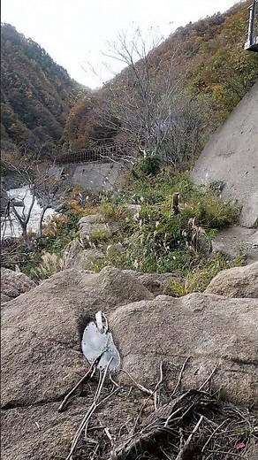 紅葉の山形県赤芝峡
