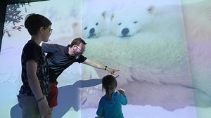 288 reactions · 61 shares | À voir : ARTIKA! Animaux polaires sur écrans géants, structures de glace et sensation de froid… vivez l’Arctique, comme si vous y étiez! ❄️ Pour planifier votre visite: https://www.sepaq.com/billet-aquarium | Aquarium du Québec | Facebook