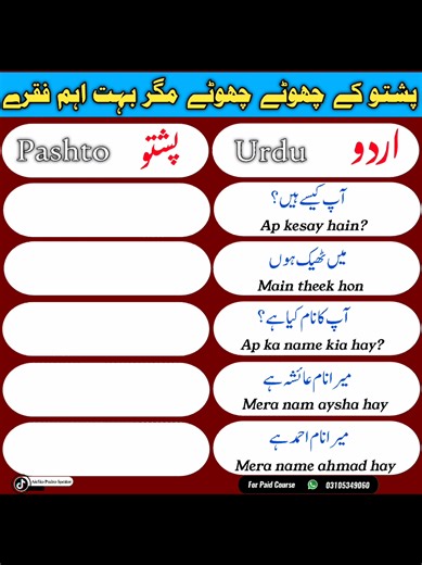 Pashto basic sentences for beginners #unfreezemyaccount #onlinepashto #learnig #pashtospeaking #PASHTO