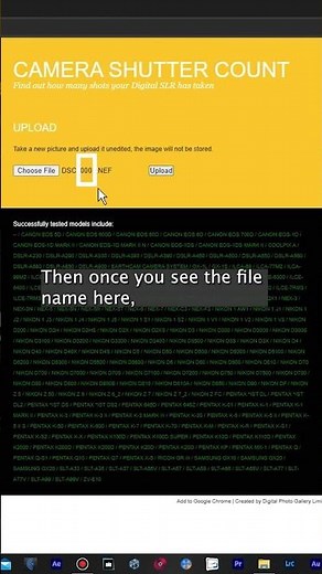 How to check the shutter count on a Nikon Camera #shorts