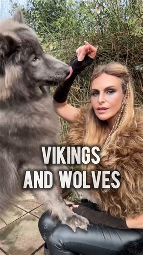 Anneka Svenska on Instagram: "The Vikings didn’t fear wolves — they respected them. To the Norse, the wolf was power, survival, and the wild itself. They followed Odin, the All-Father, who was never alone. By his side walked his two wolves — Geri and Freki — whose names mean the ravenous. They symbolised war, hunger, and the brutal truth of nature. And then there was Fenrir — the great wolf of prophecy, so powerful the gods themselves tried to bind him… knowing one day he would break free. For V