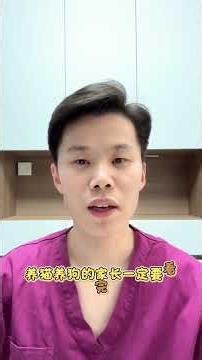 Essential Precautions: Protect Your Pet from Rabies