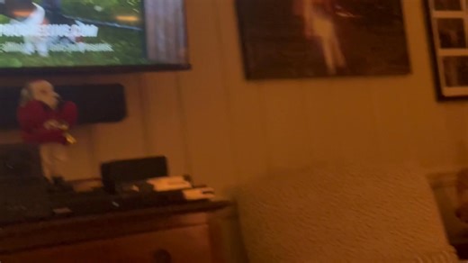 45 reactions · 9 comments | Dog Park. Lucy‘s favorite commercial. | Steve Conley | Facebook