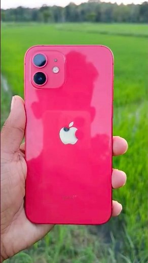 Iphone 12 Camera Test #iphone12 #cameratest #iphone