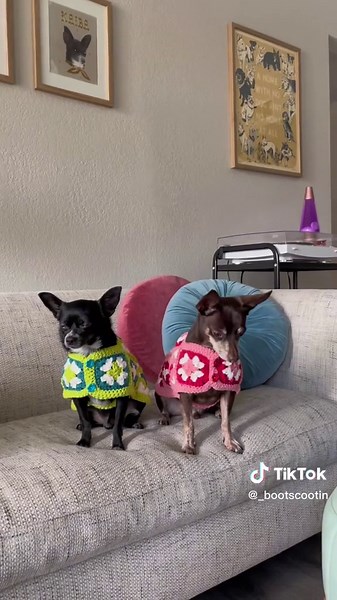 Handmade Crochet Dog Sweaters for Small Businesses | DIY Fashion Designer Tutorial