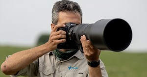 Nikon Z9 Update is So Big, It Could Have Been a Whole New Camera