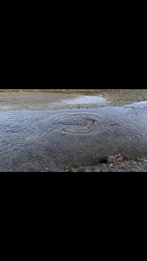 Robert Wilson on Reels