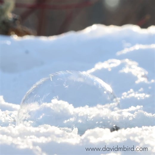 215K views · 4.7K reactions | There’s something magical about ice...