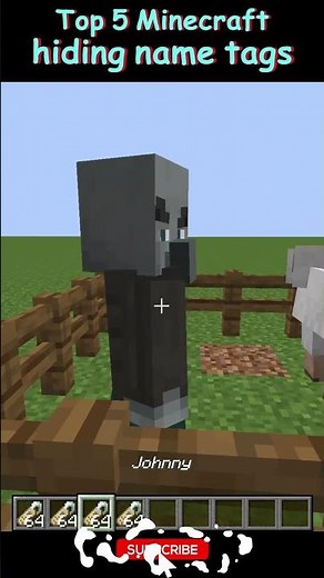 Top 5 Minecraft hiding name tags
