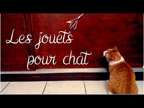 DIY [Récup'] : Fabriquer des jouets pour chat avec 3 fois rien !