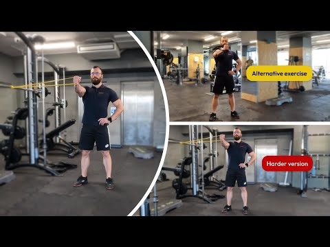 Banded Pallof Press Cheap Workouts
