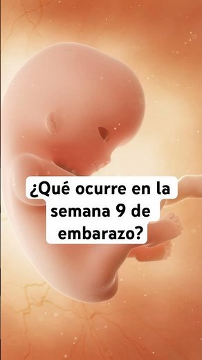 🤔 What happens in week 9 of pregnancy? 🤰 Symptoms and baby development