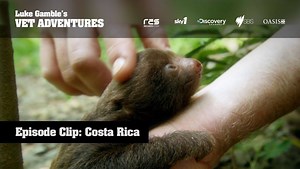 29 reactions · 3 comments | Did you know that today is...