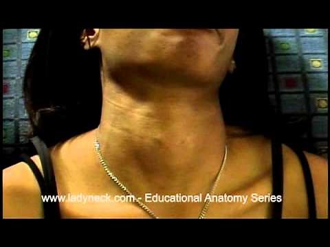 Kandii Part 3 Long Neck and Female Adam's Apple