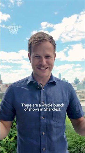 Official Trailer: Hammerhead Sharks Up Close with Bertie Gregory