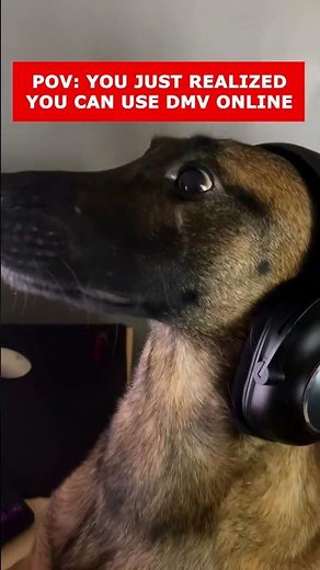 Even the dogs know that you can just skip the line at the #dmv #funny #memes #nevada