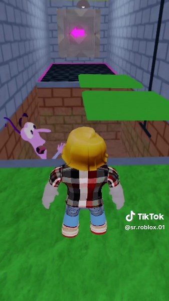 Roblox Escape Prison: A Family Adventure