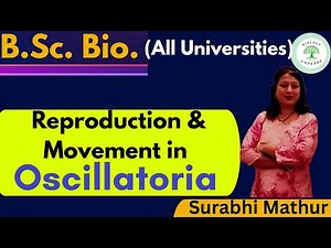 Oscillatoria। Reproduction and Movement in Oscillatoria। B.Sc.bio.। by Surabhi ma'am
