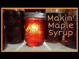 The Best Maple Syrup I've Ever Tasted, And How I Made It