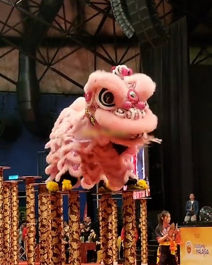 Mesmerising Lion Dance 🦁