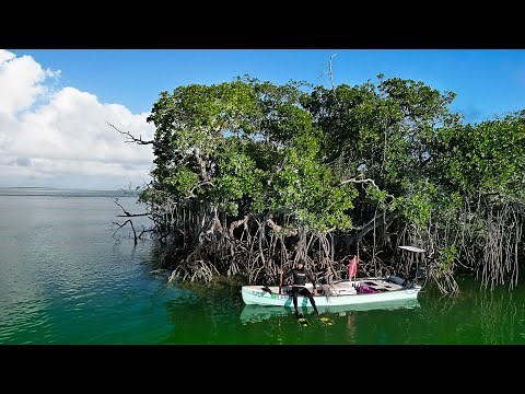 Spearfishing Remote Islands | The One That Got Away... Again