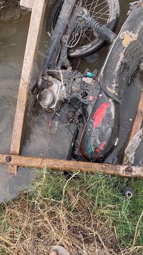 7.1M views · 10K reactions | Oh No  #funnymeme #trendingpost #funnyvideos #funnyreels #funny #comedy | Johnnybhutta | Facebook