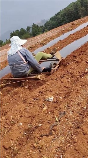 How to Use a Manual Laminating Machine with a Cow